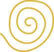 Vector