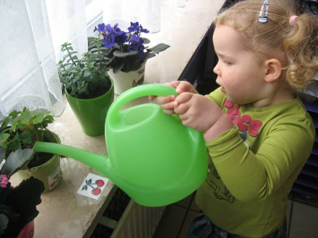13_20110204142202