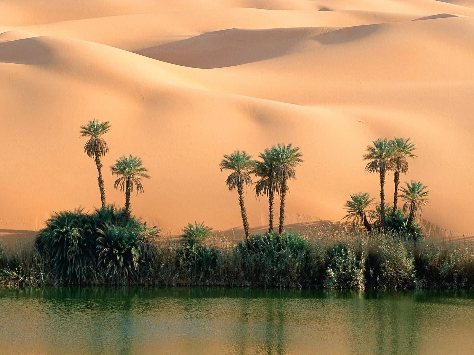 Nature_Other_Desert_oasis_019154_