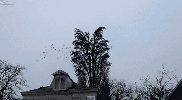 Schermafdruk-2014-12-07-21.17.50