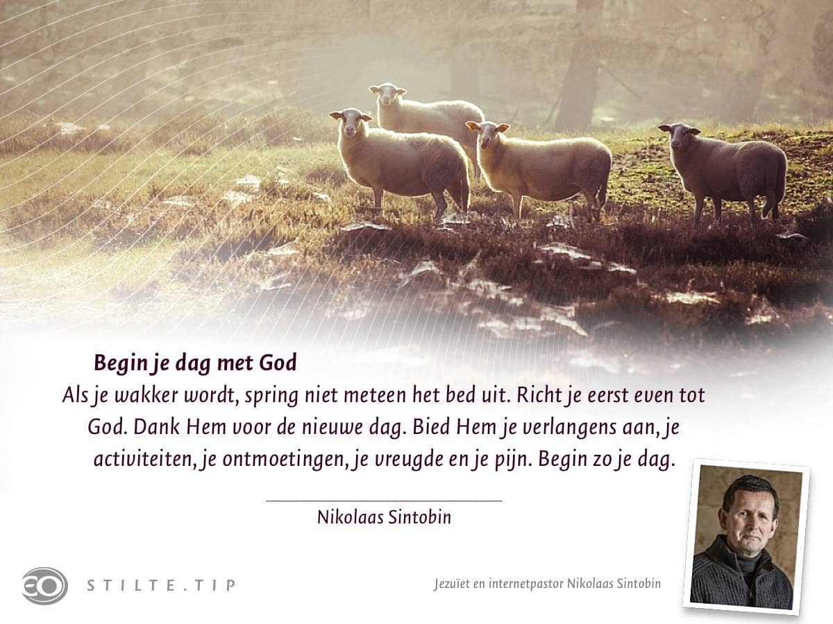 Stiltetip-nr-1