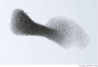 Swarm-Theory