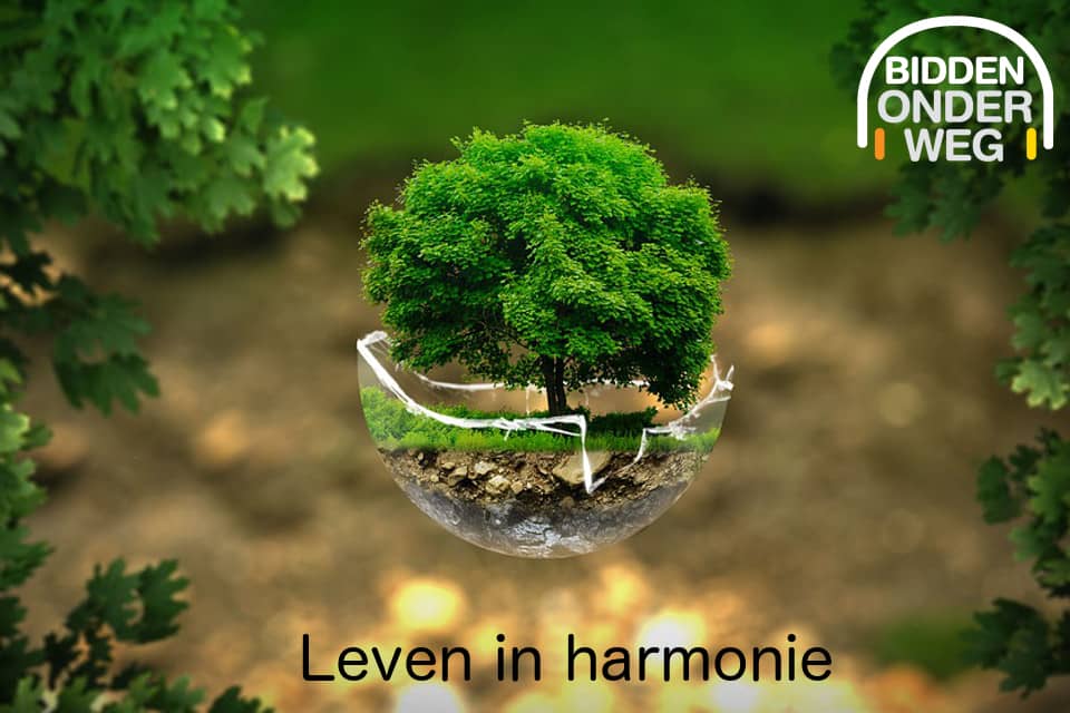 ecologie_homepage2