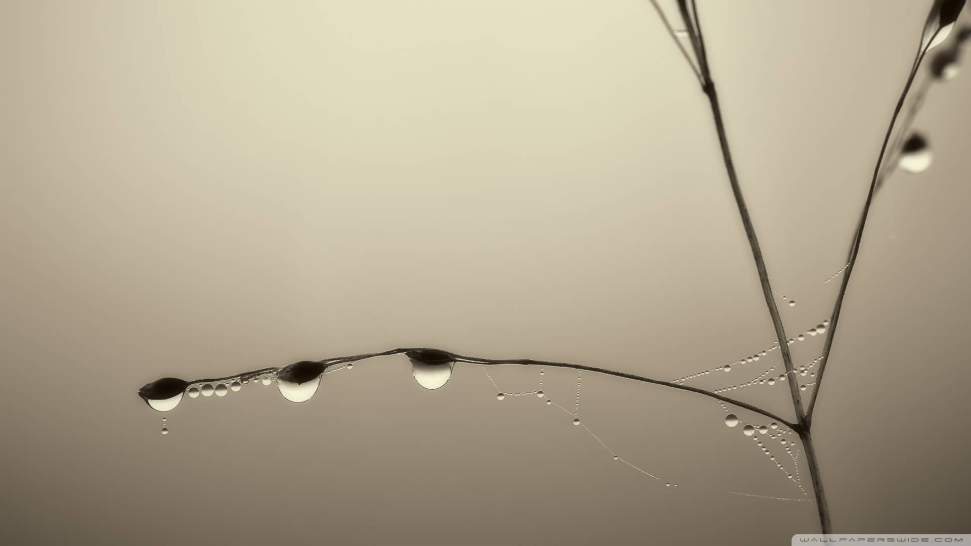 silence-and-stillness_00444161