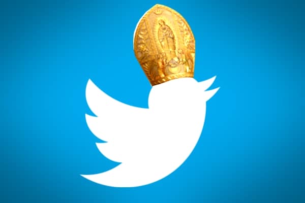twitterpapa