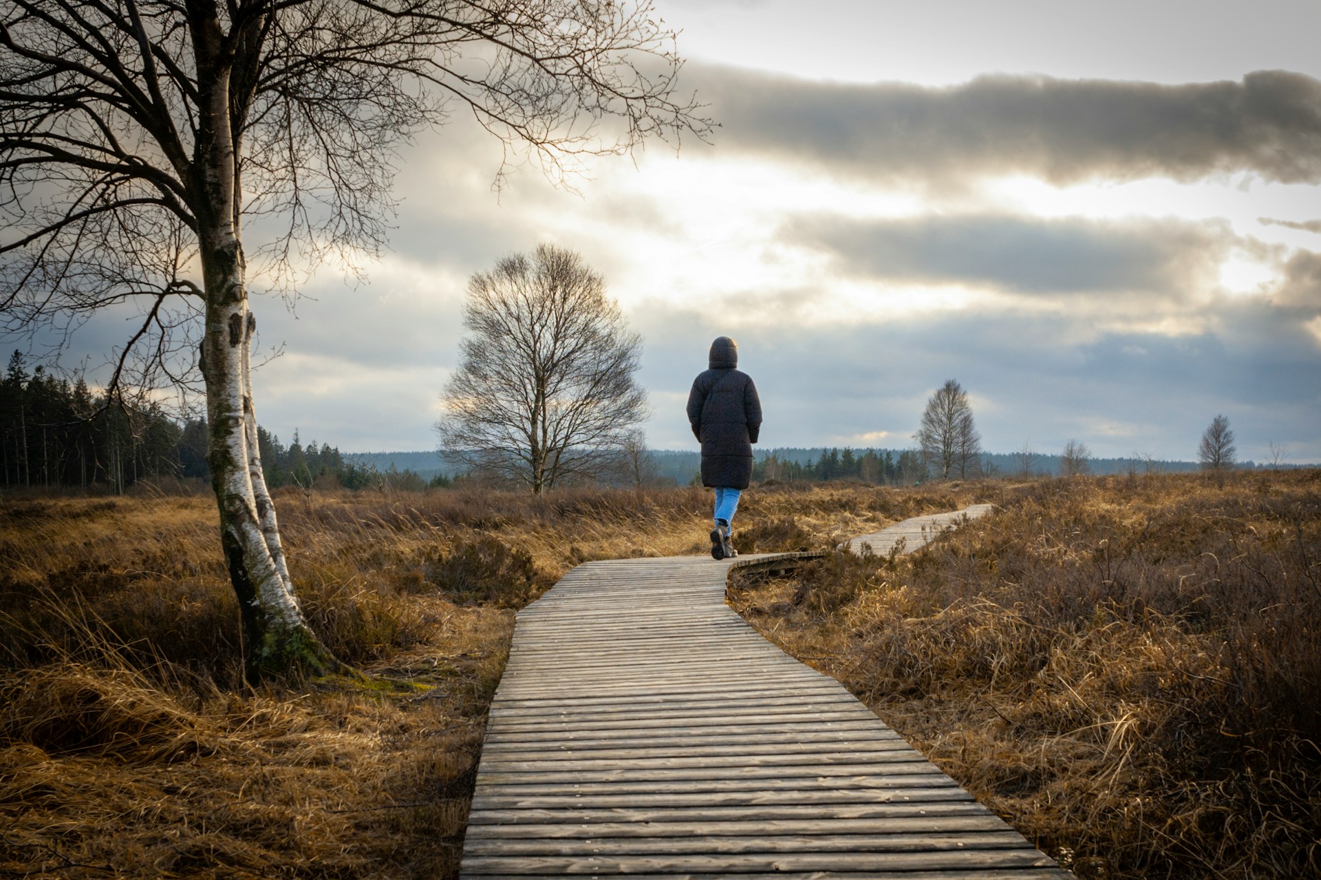Vrouw loopt alleen door verstild landschap