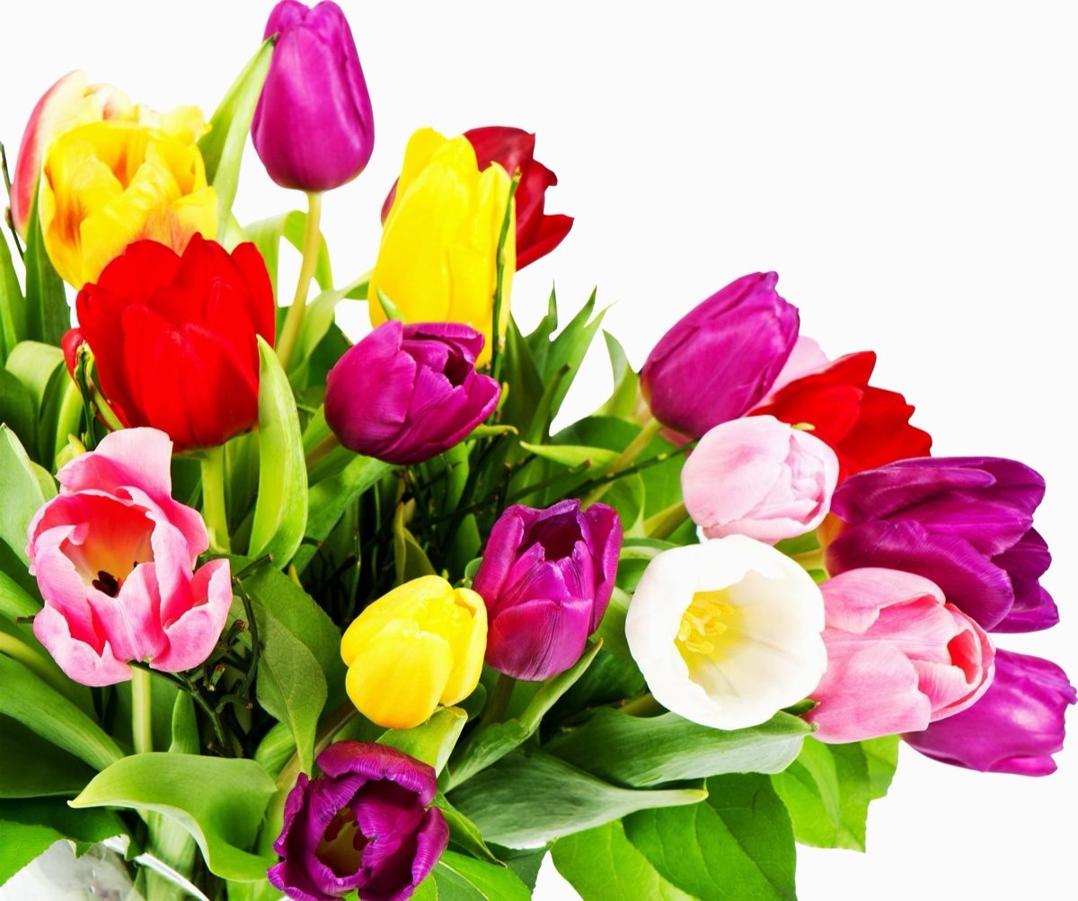 elke-vermeerdering-van-hoop-geloof-en-liefde-go-316-hd