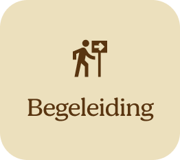 Begeleiding